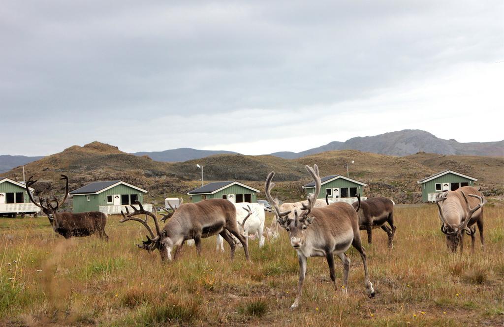Nordkapp Camping Хоннингсвог Номер фото