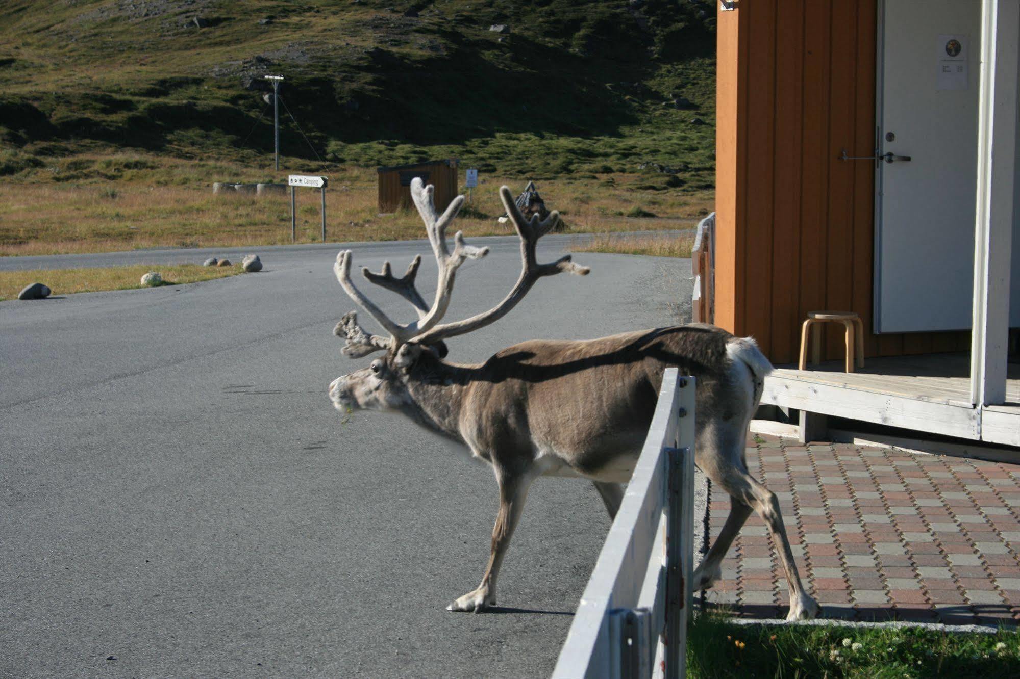 Nordkapp Camping Хоннингсвог Экстерьер фото